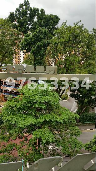 Blk 152 Mei Ling Street (Queenstown), HDB 3 Rooms #65664992